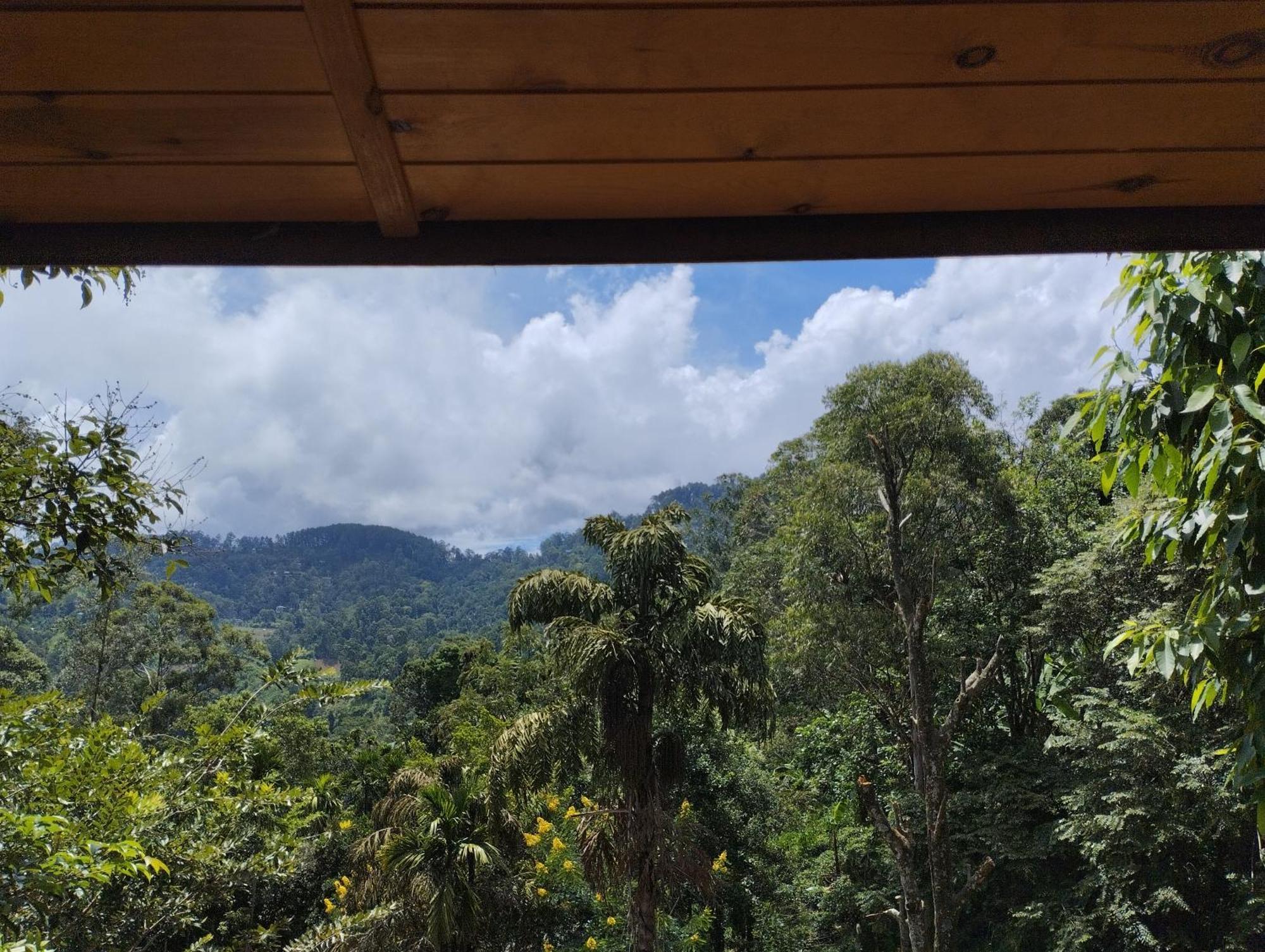 Ella Wood Cabin المظهر الخارجي الصورة