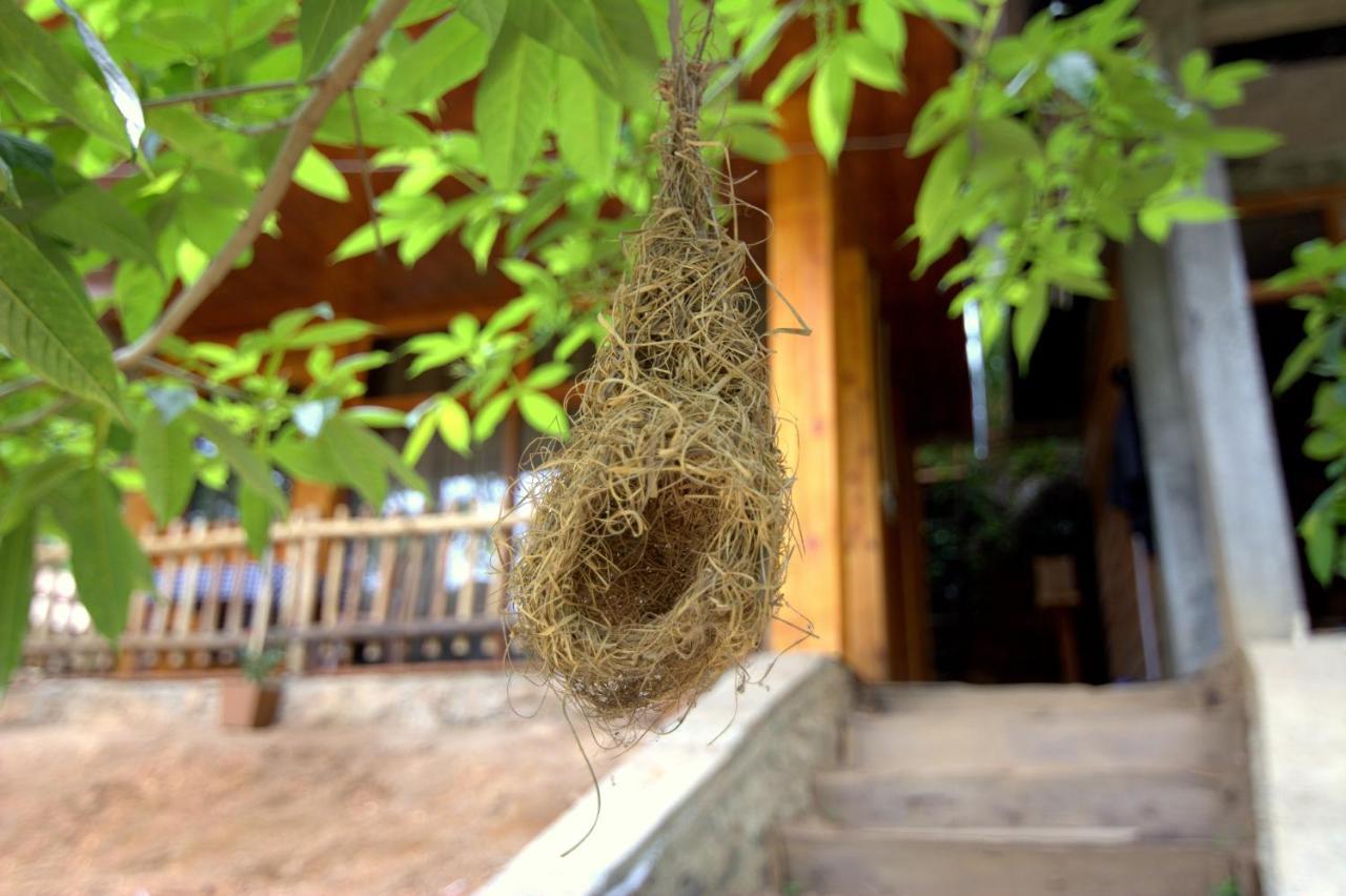 Ella Wood Cabin المظهر الخارجي الصورة