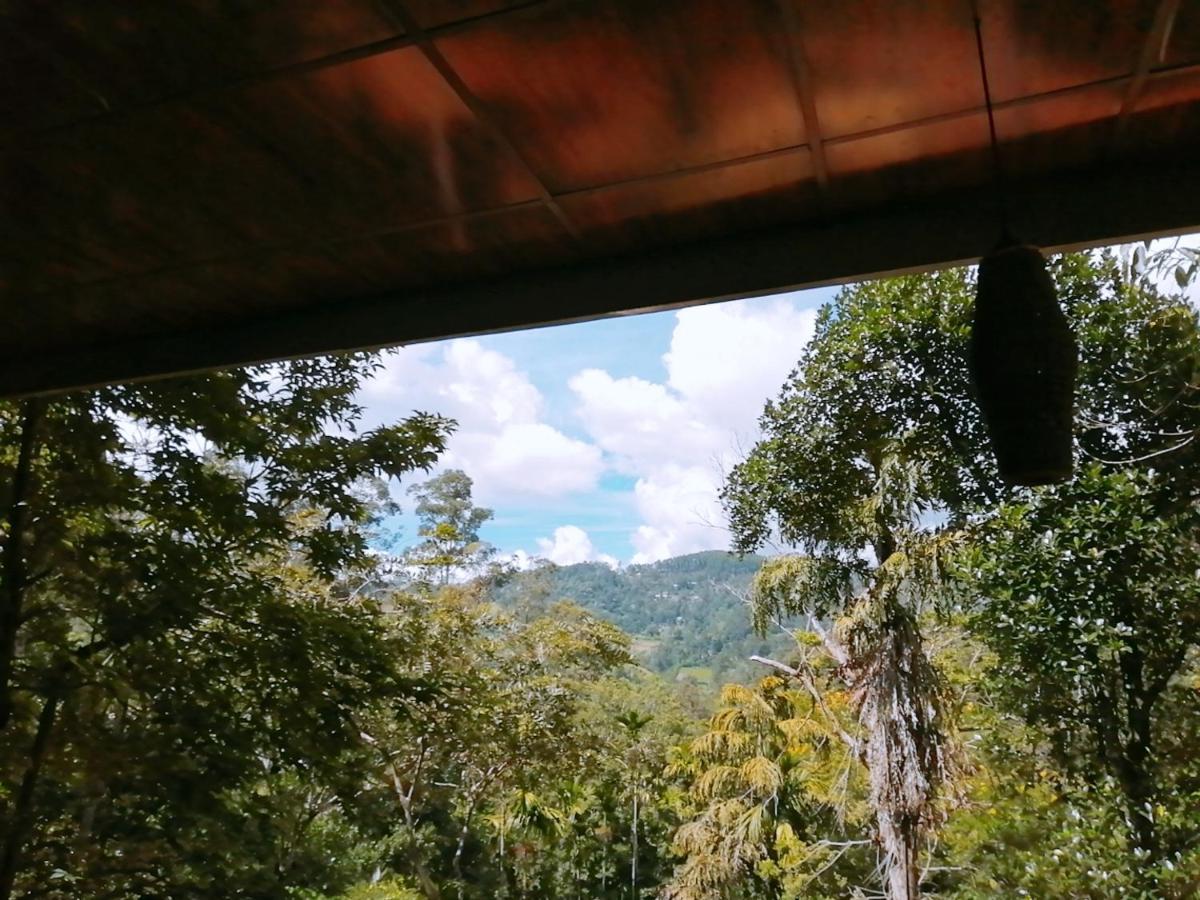 Ella Wood Cabin المظهر الخارجي الصورة
